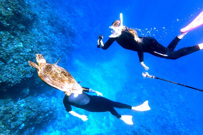 Okinawa: Full-Day Kerama Islands National Park Snorkeling Tour - What the day feels like on the water