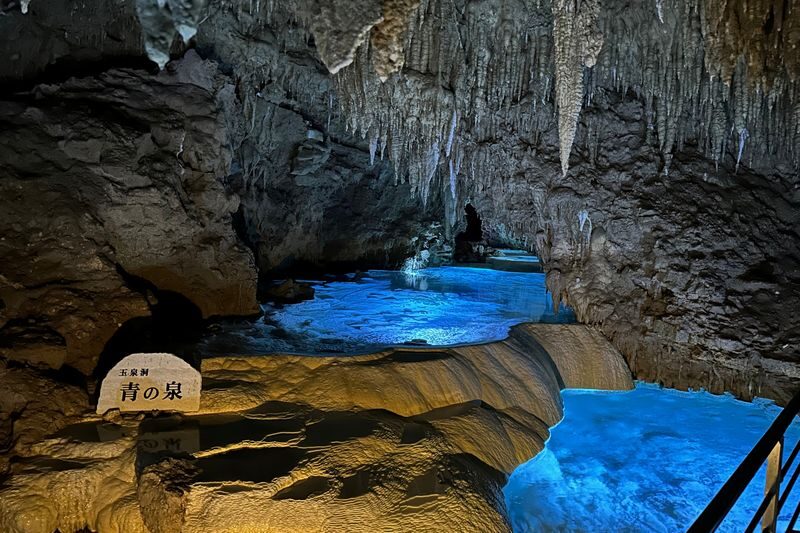 Okinawa FunPASS (Churaumi Series) - Treat the five-day window as a planning tool