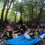 Okinawa Ishigaki Island Mangrove Forest Half-day Tour (SUP/Canoe) - What the half-day schedule feels like