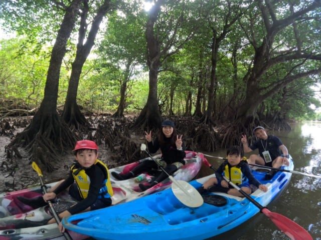 Okinawa Ishigaki Island Mangrove Forest Half-day Tour (SUP/Canoe) - What the half-day schedule feels like