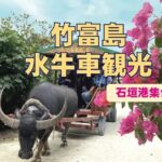 Okinawa Ishigaki Island Taketomi Island Water Buffalo Cart Sightseeing & Round-Trip Ferry Ticket - Use the flexible return to see more than the village