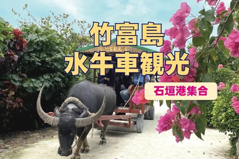 Okinawa Ishigaki Island Taketomi Island Water Buffalo Cart Sightseeing & Round-Trip Ferry Ticket - Use the flexible return to see more than the village