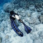 Okinawa Kerama Islands Snorkeling & Freediving with Naha Pickup - Leaving Naha before the city wakes