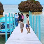 Okinawa: Miibaru Beach Glass Bottom Boat Tour Experience - What happens during the 20-minute ride