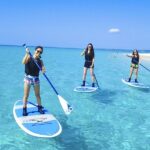 Okinawa Miyakojima Sea Turtle Snorkeling: Japanese and English Diving Guide, Free Photos - Choose the base snorkel or add a second activity
