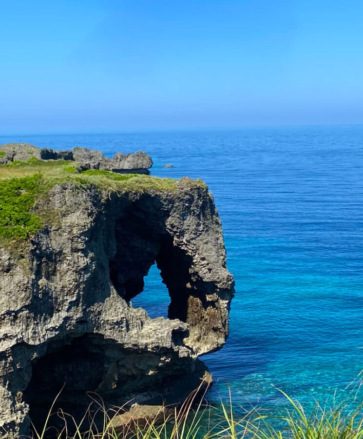 Okinawa Northern Day Tour | Manza-mo & Kouri Island & Churaumi Aquarium Day Tour | Depart from Naha & Chatan - Churaumi Aquarium: whale sharks and a tight clock