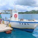 Okinawa | Northern Okinawa Raft Fishing - Spacious Deck, Seasickness-Free - Family Friendly (Near Okinawa Churaumi Aquarium and JUNGLIA) - Choosing the right fishing package