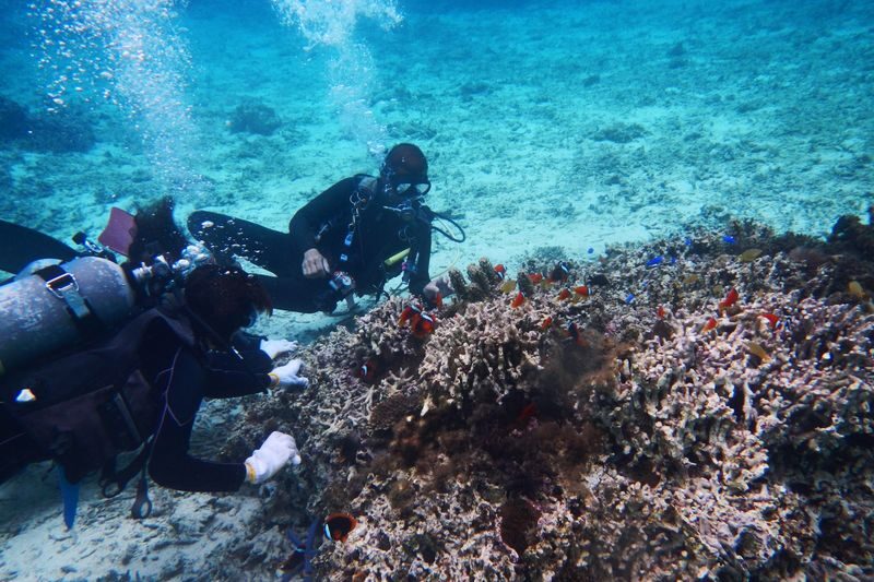 Okinawa Onna Blue Cave Snorkeling or Beginner Scuba Diving - What the boat trip and cave visit feel like
