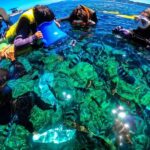 Okinawa: Onna Village Blue Cave Private Snorkel (Free Photo Shoot) - Getting comfortable before entering the water
