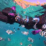 Okinawa, Onna Village | Blue Cave Snorkeling + Clear Kayak Experience | With GoPro Filming - Starting at Marine Club CREA