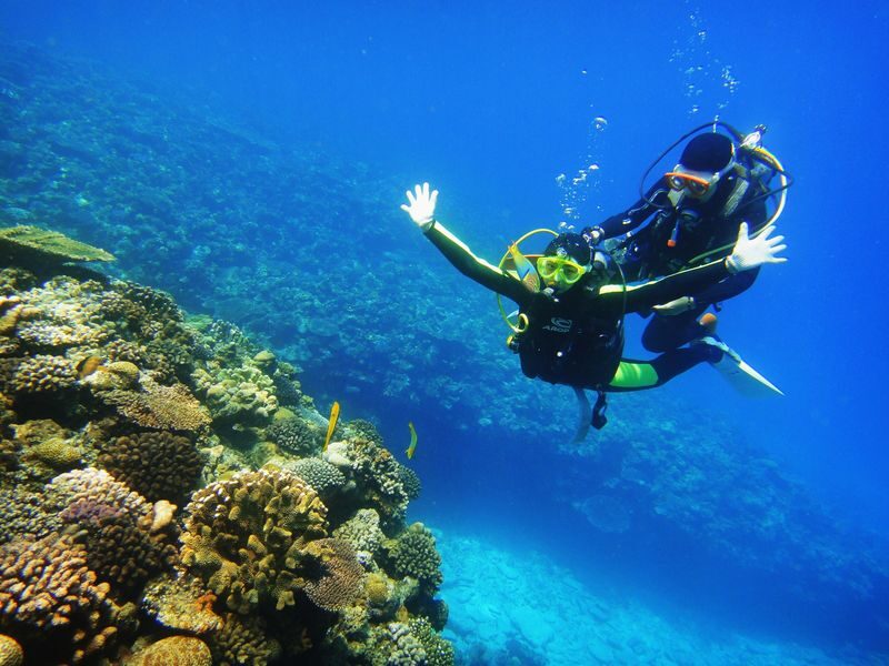 Okinawa Onna Village Blue Cave Snorkeling & Scuba Diving Experience - From pickup to Maeganeku Port