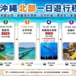 (Okinawas No. 1 Popular Northern Day Trip) Chinese-speaking guide, Includes admission tickets, 1 person can book: Churaumi Aquarium, Cape Manzamo, Kouri Island, American Village - Cape Manzamo: a quick cliff-top stop