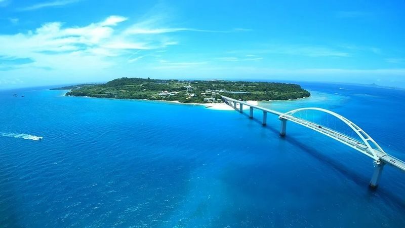 Okinawa Sesoko Island Snorkeling/Parasailing/Water Activities - The morning snorkeling trip, step by step