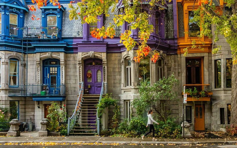 Old Montreal & Underground City Half-Day Walking Tour in Montreal - What the Old Montreal portion can offer