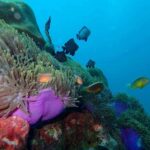 One Day Learning Scuba Diving at Racha Island - No License Required - A full day from pickup to the return pier