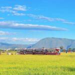 One-Day Tour Around Erhai Lake in Dali, Yunnan - Panxi’s S curve and the lakeside stops