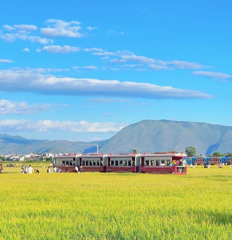 One-Day Tour Around Erhai Lake in Dali, Yunnan - Panxi’s S curve and the lakeside stops