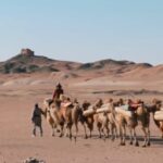 One-day tour of Dunhuang West Thousand Buddha Caves + Yumen Pass + Yadan Geological Park (Chinese/English group tour optional) - Yangguan: the southern Silk Road gateway