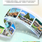 One-Day Tour of Fuji Safari Park, Oshino Hakkai, and Oishi Park - Fuji Safari Park: wildlife from the vehicle