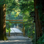 One-day tour of Nagoya Ise Grand Shrine and Mikimoto Pearl Island - Ise Grand Shrine and the walk through Okage Yokocho