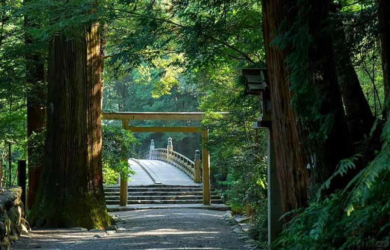 One-day tour of Nagoya Ise Grand Shrine and Mikimoto Pearl Island - Ise Grand Shrine and the walk through Okage Yokocho