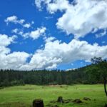 One-day tour to Jade Dragon Snow Mountain in Lijiang, Yunnan - What the early pickup means for your day