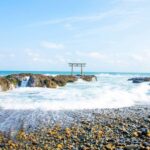 One-Day Tour to Oarai Isosaki Shrine and Hitachi Seaside Park in Tokyo - Oarai Isosaki Shrine and its sea-facing torii