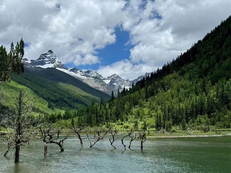 One-Day Tour to Shuangqiao Valley, Mount Siguniang, Western Sichuan - The guide matters, but the role can vary