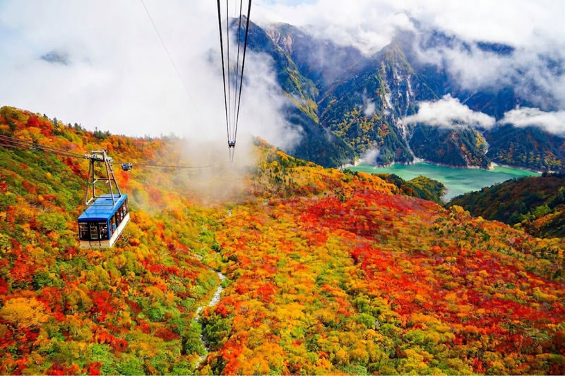 One-day tour to the Tateyama Kurobe Alpine Route from Kanazawa - Six transport modes, one carefully timed crossing