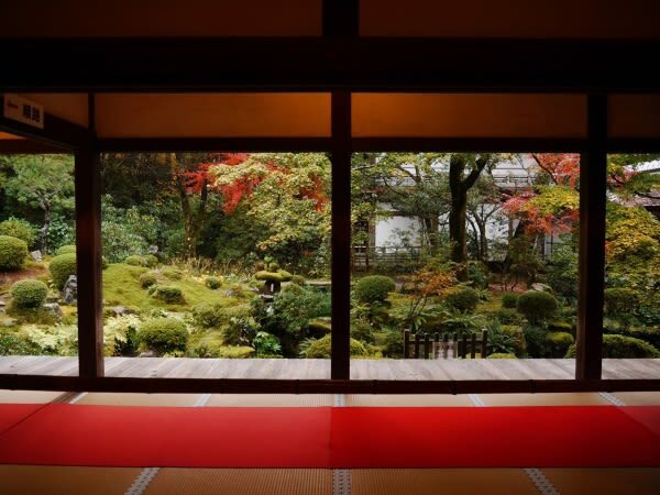 One-day trip to Kyotos Kifune Shrine, Arashiyama, and Sanzen-in Temple - Kifune Shrine: a lantern approach and relationship prayers