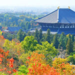 One-Day Uji Nara Onsen Tour: Nara Park with Deer Crackers + Todai-ji Temple + Uji Byodo-in Temple + Genji no Yu Onsen (Round Trip from Osaka) - Nara Park: deer, Buddha and hard choices
