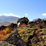 Oni oshi dashi Park Admission Ticket in Gunma - What the seasons change
