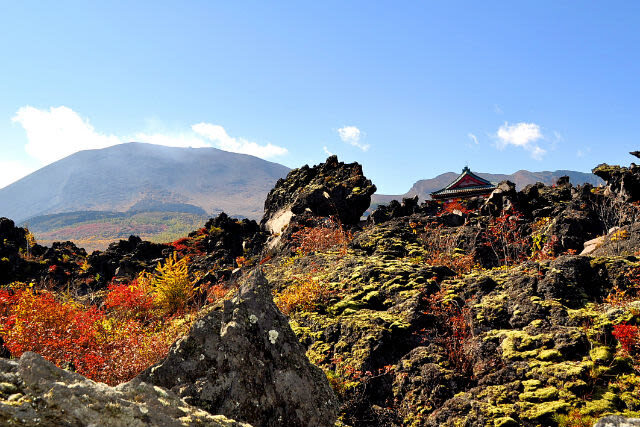Oni oshi dashi Park Admission Ticket in Gunma - What the seasons change