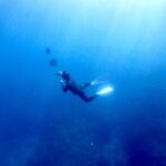 Onna Free Diving Experience in Okinawa - From Maeganeku Port to the water