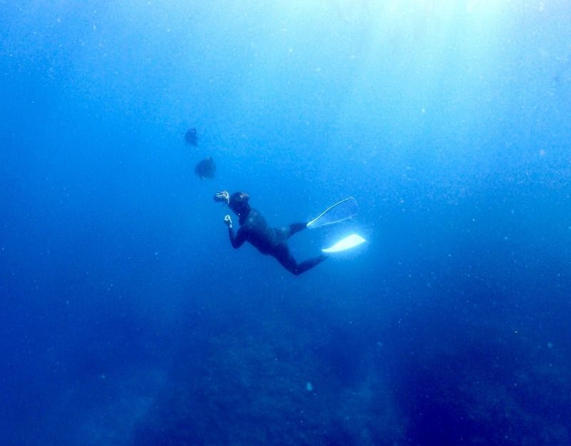 Onna Free Diving Experience in Okinawa - From Maeganeku Port to the water