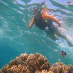 Onna Village Banana Boat & Snorkelling Experience in Okinawa - The banana boat ride is about the view, not the speed