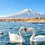 Optional Lake Yamanaka Cruise Experience | Mount Fuji Shopping Private Car Charter or Exquisite Small Group Day Tour | Lake Yamanaka & Gotemba Premium Outlets (Departing from Tokyo) - Lake Yamanaka: decide if you want the cruise