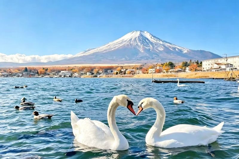 Optional Lake Yamanaka Cruise Experience | Mount Fuji Shopping Private Car Charter or Exquisite Small Group Day Tour | Lake Yamanaka & Gotemba Premium Outlets (Departing from Tokyo) - Lake Yamanaka: decide if you want the cruise