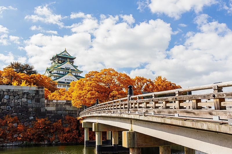 Osaka 6hr Private Tour with Government-Licensed Guide - Osaka Castle gives the day a historic anchor