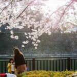Osaka Castle 3 hours Historical Walking Tour - Starting at JR Osakajo-koen Station