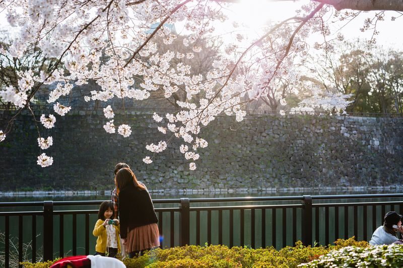 Osaka Castle 3 hours Historical Walking Tour - Starting at JR Osakajo-koen Station