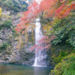Osaka Day Tour: Katsuo-ji Daruma & Minoh Falls Walk - Minoh Waterfall is the natural high point
