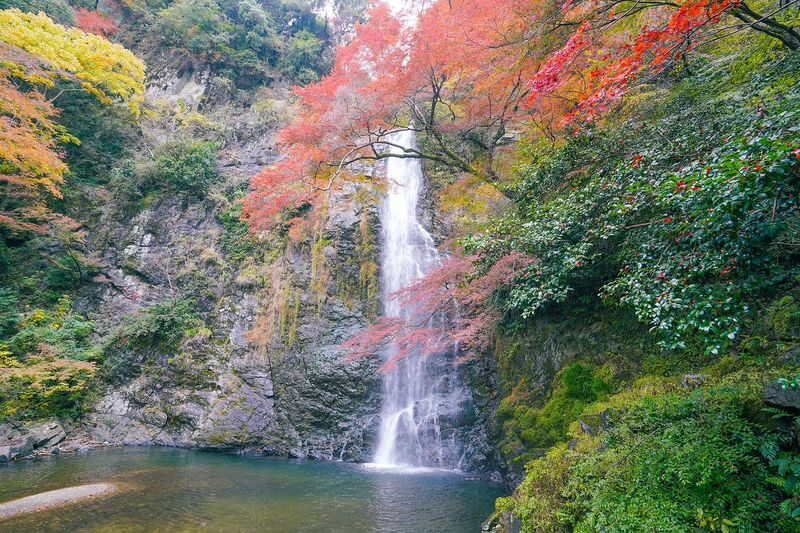 Osaka Day Tour: Katsuo-ji Daruma & Minoh Falls Walk - Minoh Waterfall is the natural high point