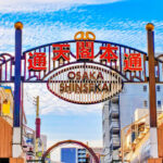 Osaka Full-Day Private Tour with Customizable Itinerary - Making the most of the flexible route