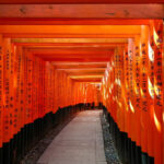 Osaka Katsuo-ji & Kyoto Arashiyama & Fushimi Inari Tour (From Osaka) - Choosing your Arashiyama priorities