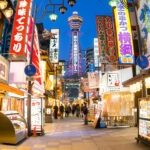 Osaka & Kyoto Full-Day Private Tour with English Driver - Is US$504.49 good value?