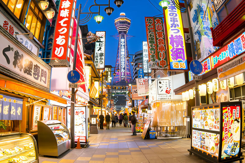 Osaka & Kyoto Full-Day Private Tour with English Driver - Is US$504.49 good value?