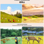 Osaka Nara Park and Mt. Ikoma Amusement Park Full-Day Guided Tour - Mount Ikoma: a different kind of Nara outing