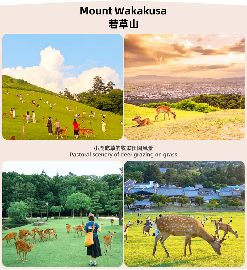 Osaka Nara Park and Mt. Ikoma Amusement Park Full-Day Guided Tour - Mount Ikoma: a different kind of Nara outing