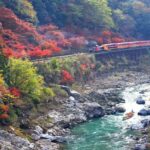 Osaka Sagano Romantic Train and Hozugawa River Cruise Day Tour - The Sagano train gives you a moving view of the valley